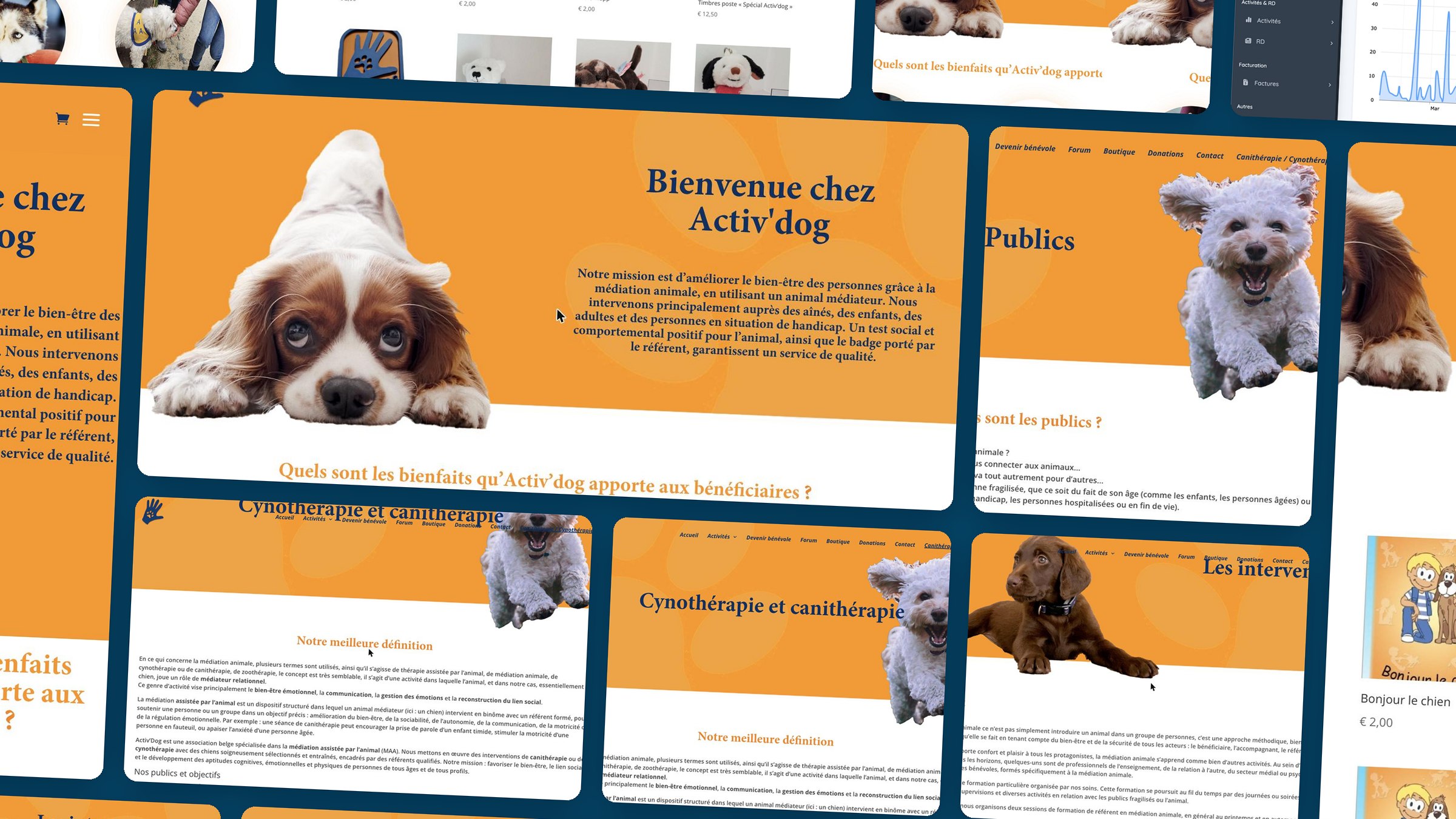 Activ'dog — aperçu du site réalisé par Gigaweb